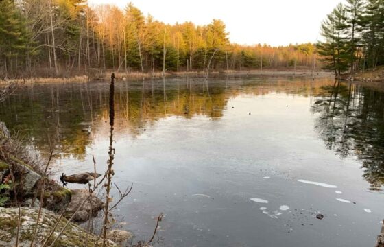 charleston-lake-image00006