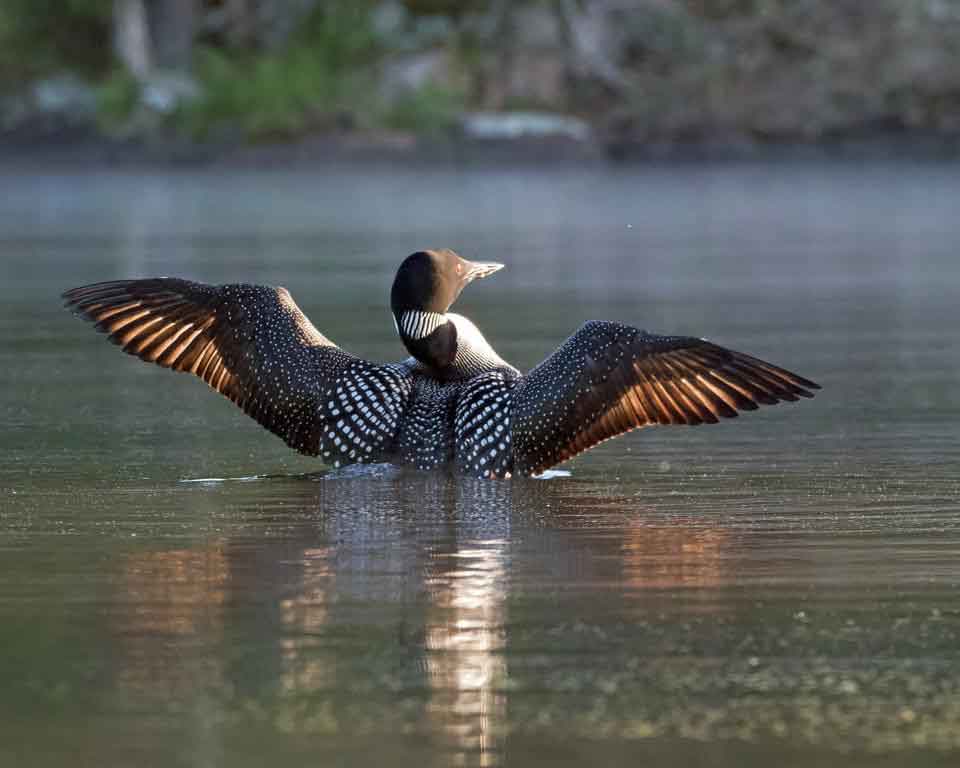 chris-kanters-image00014