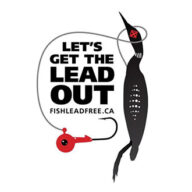 get-the-lead-out-430x330