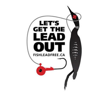 get-the-lead-out-430x330