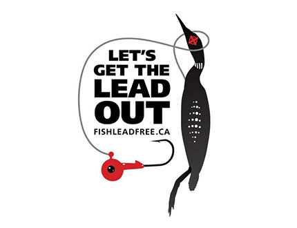 get-the-lead-out-430x330