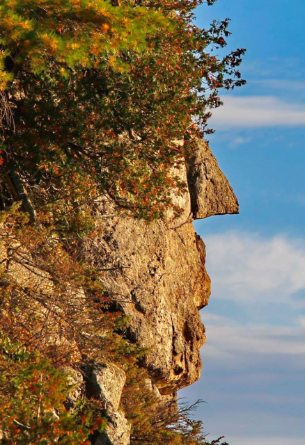 Indian Head Face